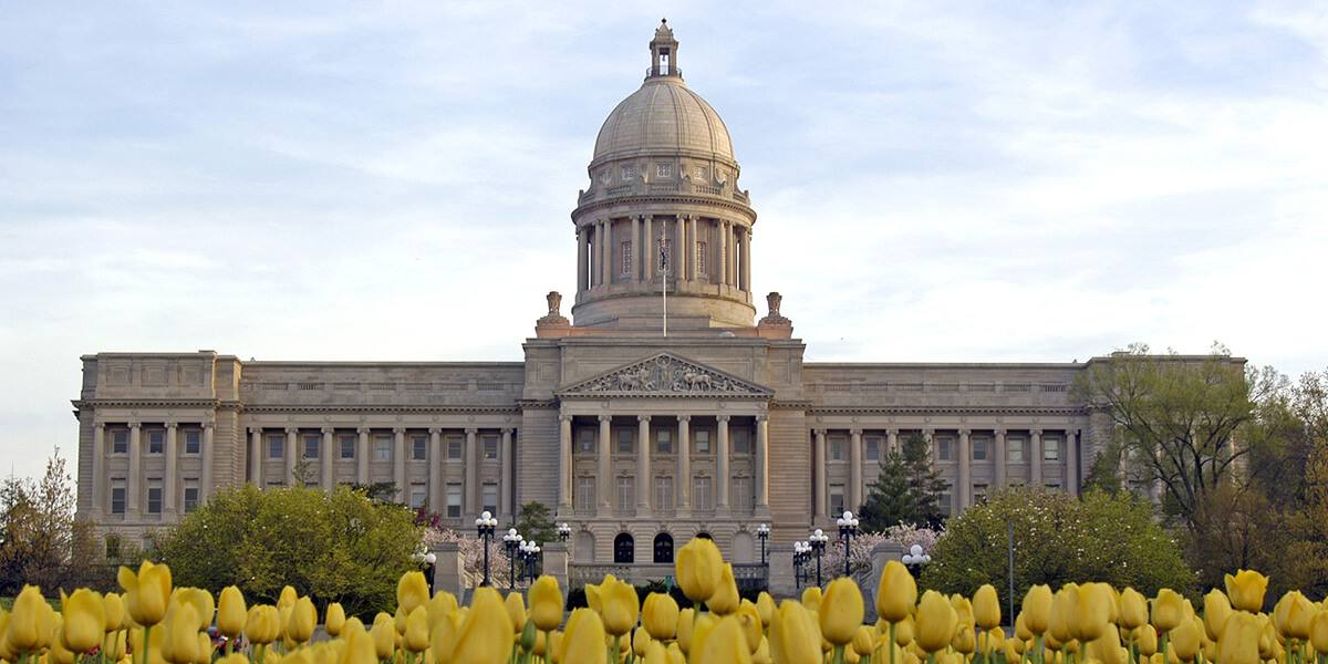 The Kentucky capitol building with a field of yellow tulips in front.